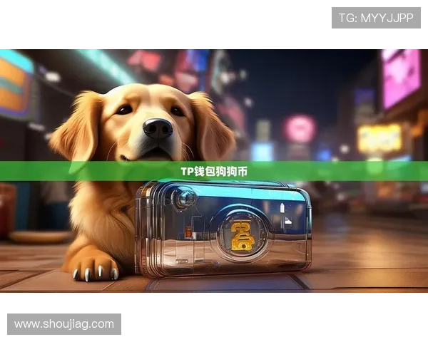 wm视讯下载安全保障措施及官方渠道下载指南全面解析