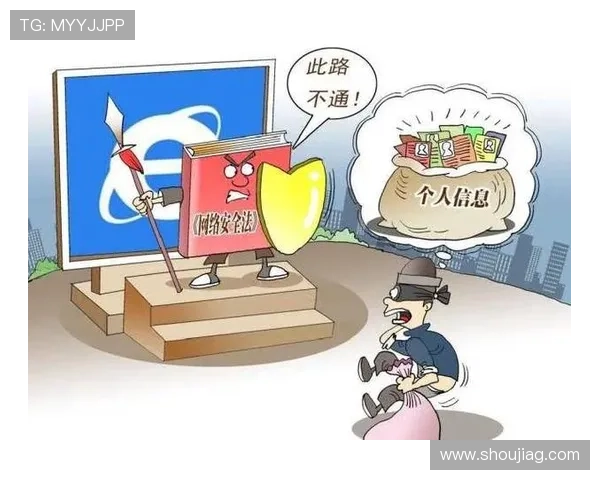 百家乐平台安全可靠，保障玩家资金与信息安全的最佳选择