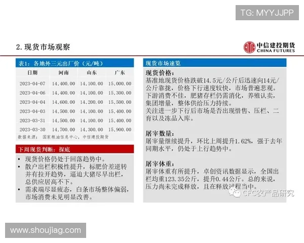如何安全高效完成BG视讯开户手续，保障个人信息与资金安全的实用指南